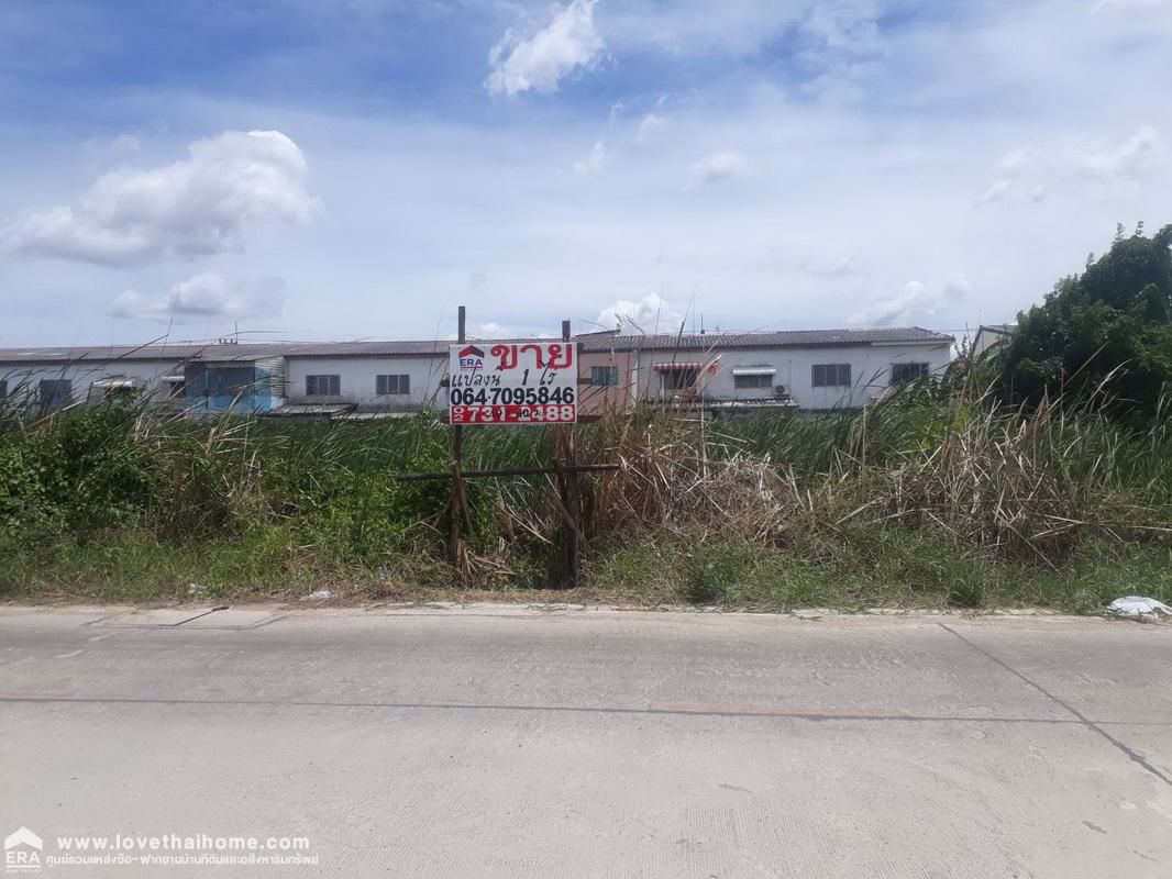 ที่ดินเปล่า-เนื้อที่-1-ไร่-คลองสี่-ถไสวประชาราษฎร์-19